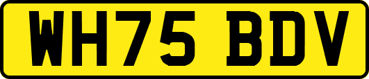 WH75BDV
