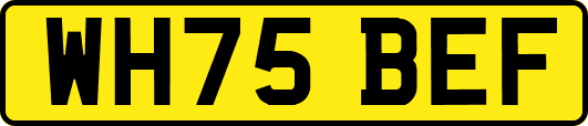 WH75BEF