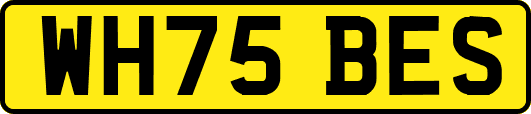 WH75BES