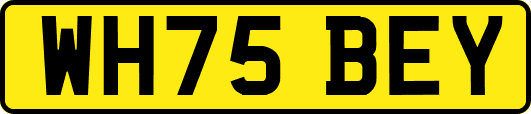 WH75BEY