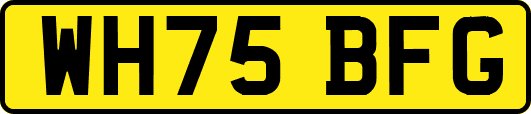 WH75BFG