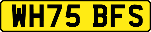 WH75BFS