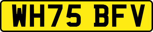 WH75BFV