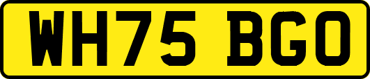 WH75BGO