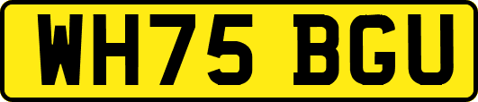 WH75BGU