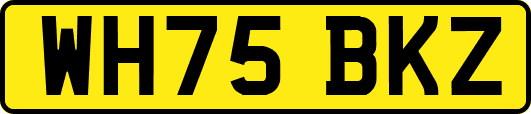 WH75BKZ