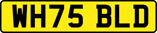 WH75BLD