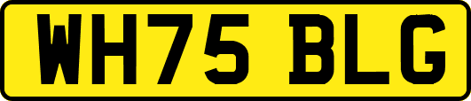 WH75BLG