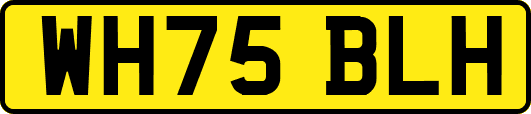 WH75BLH