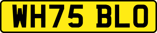 WH75BLO