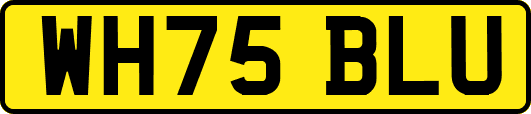 WH75BLU