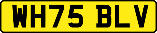 WH75BLV