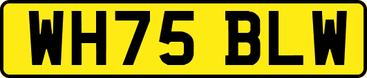 WH75BLW