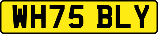 WH75BLY