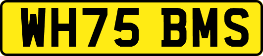 WH75BMS