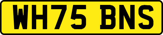 WH75BNS