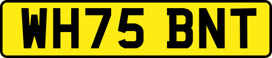 WH75BNT