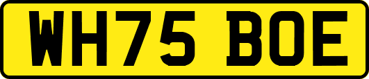 WH75BOE