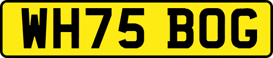 WH75BOG