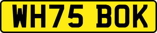 WH75BOK