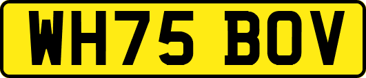 WH75BOV