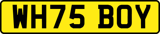 WH75BOY