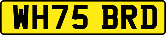WH75BRD