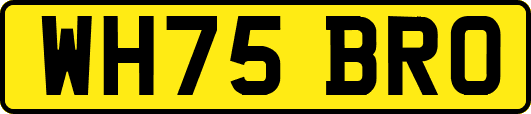 WH75BRO