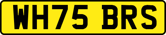 WH75BRS
