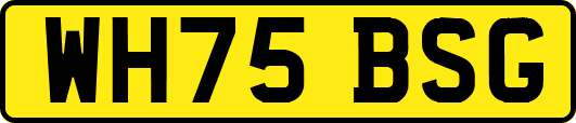 WH75BSG