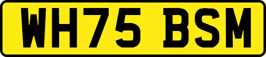 WH75BSM