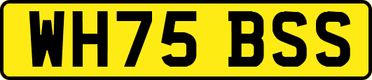 WH75BSS