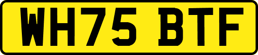 WH75BTF