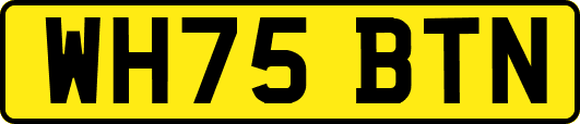 WH75BTN