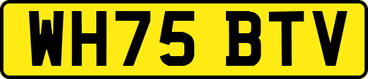 WH75BTV