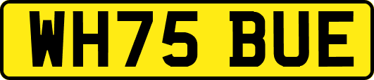 WH75BUE