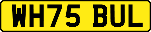 WH75BUL
