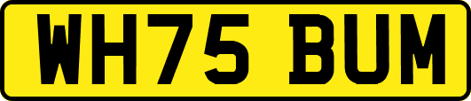WH75BUM