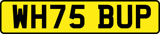 WH75BUP
