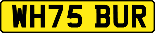 WH75BUR