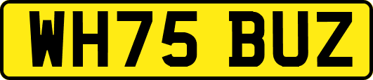 WH75BUZ