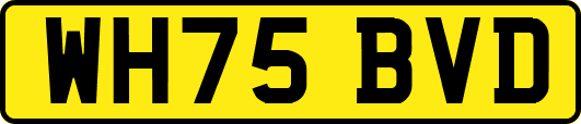 WH75BVD