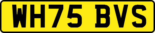 WH75BVS