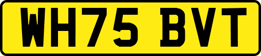 WH75BVT