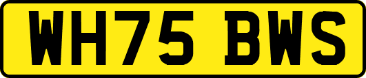 WH75BWS