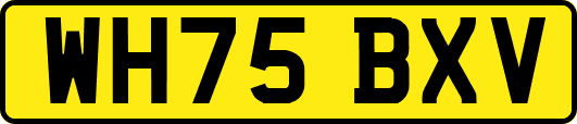WH75BXV