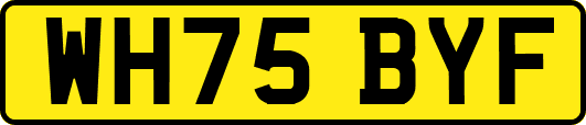 WH75BYF
