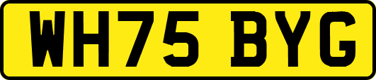 WH75BYG