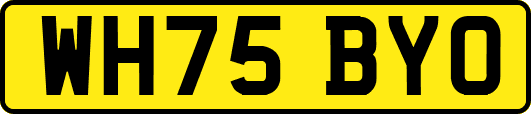 WH75BYO