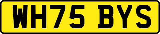 WH75BYS